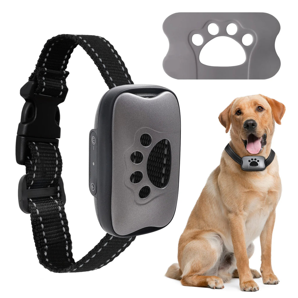 Collar Antiladridos Recargable USB