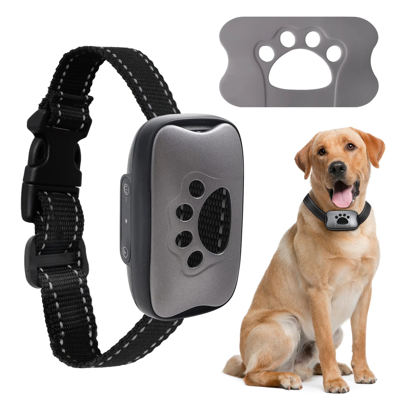 Collar Antiladridos Recargable USB