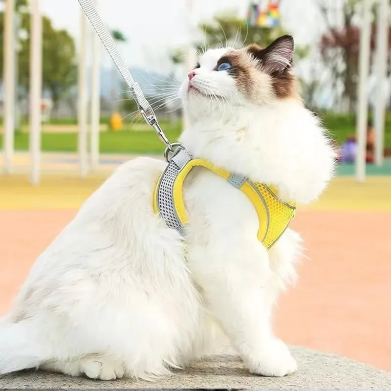 Arnés para gatos con correa – transpirable, cómodo y seguro