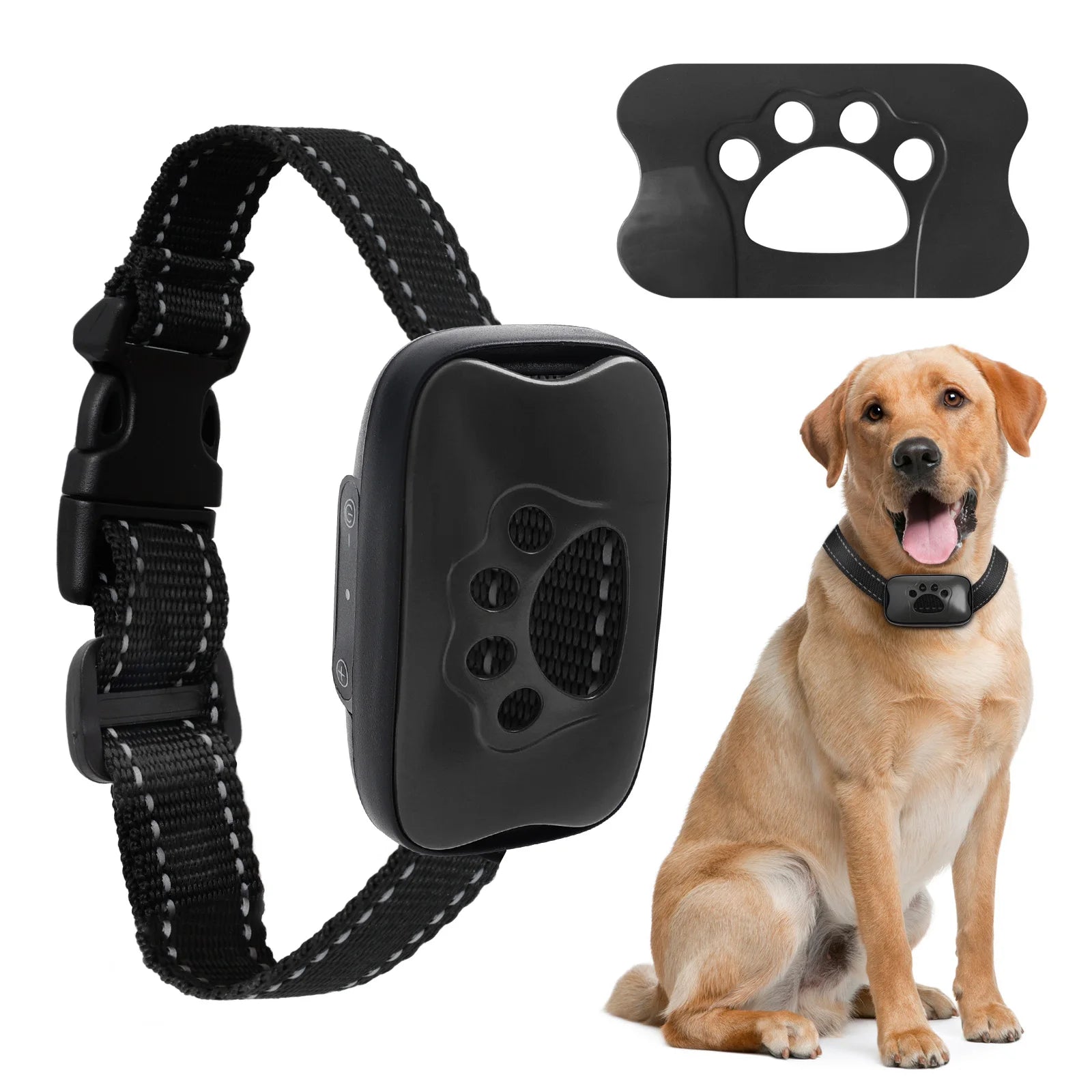 Collar Antiladridos Recargable USB