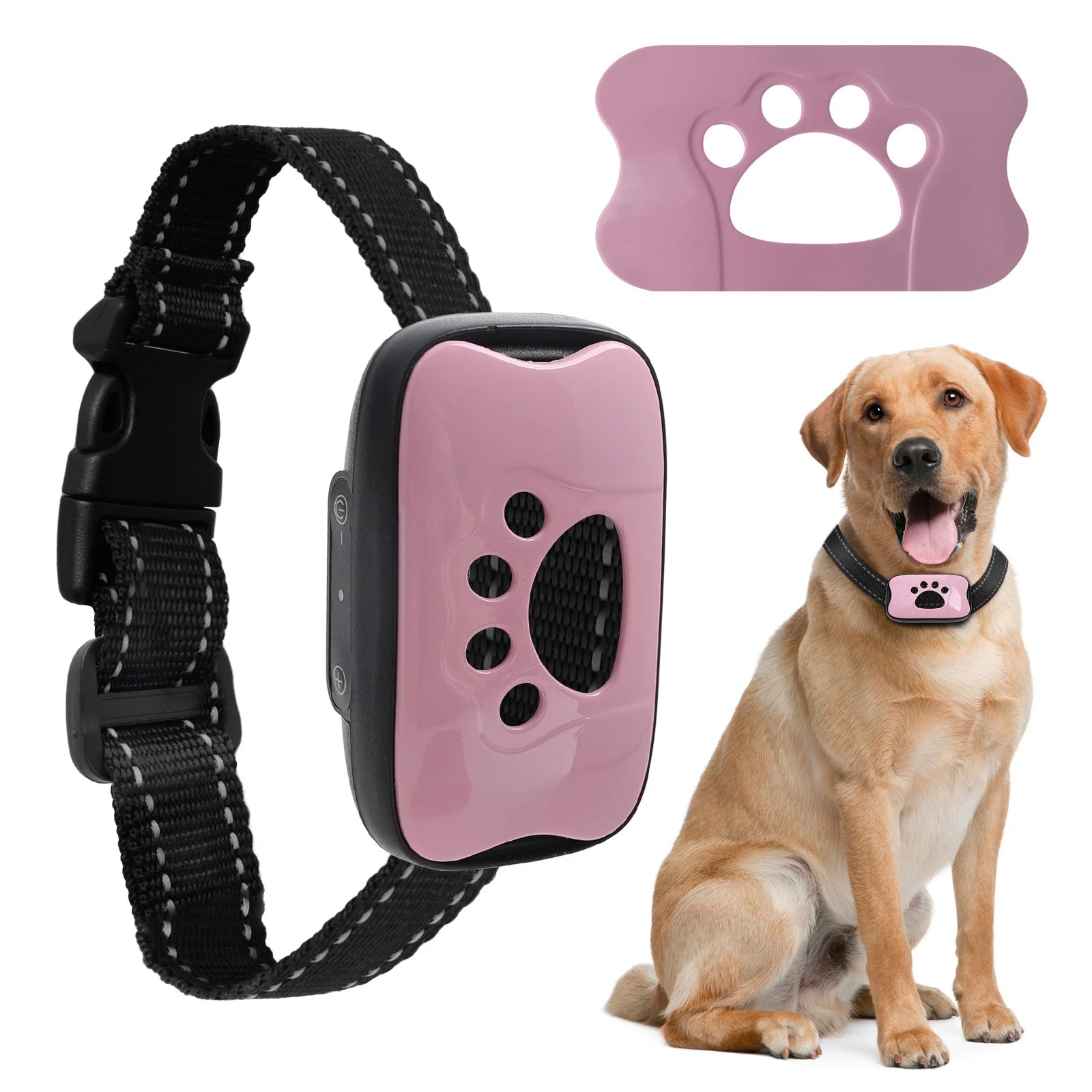 Collar Antiladridos Recargable USB