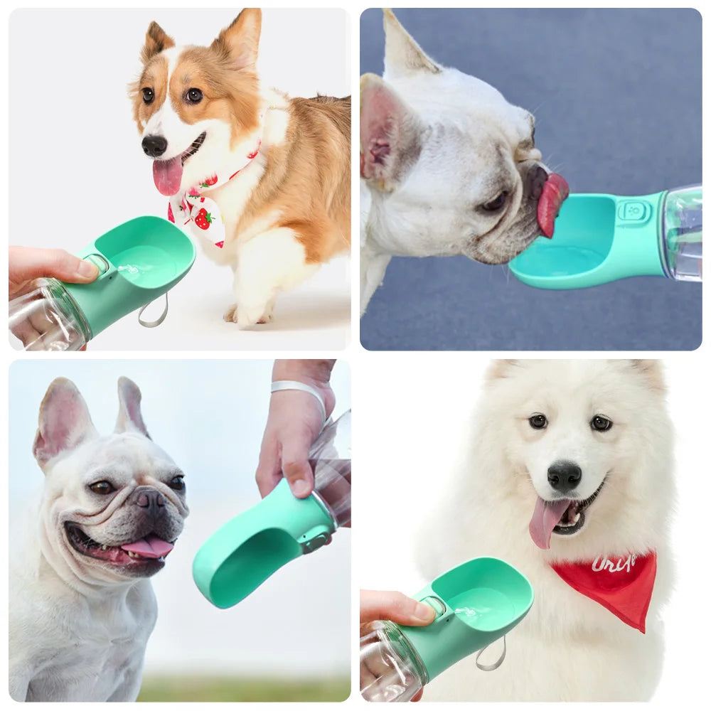 Botella bebedero portátil para mascotas