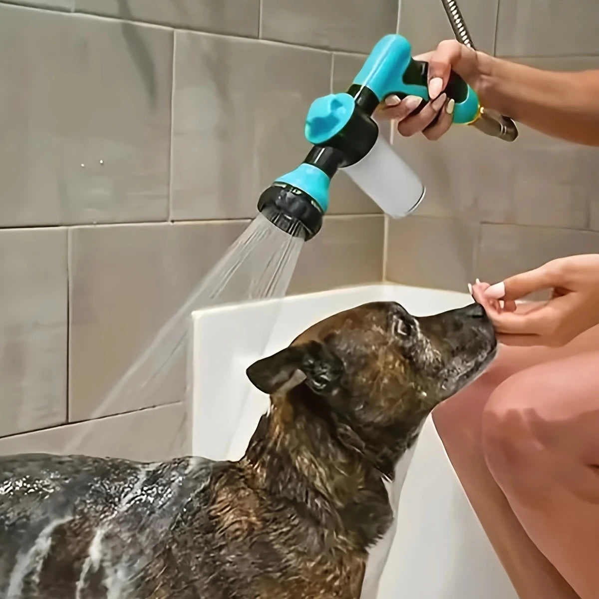 Rociador de alta presión profesional para el baño de mascotas
