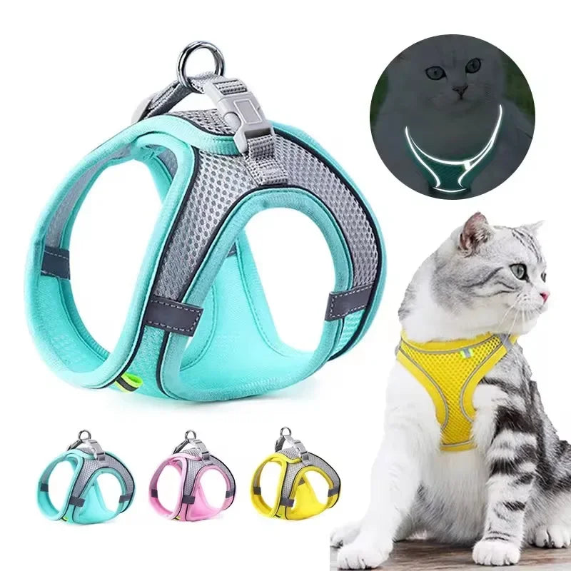Arnés para gatos con correa – transpirable, cómodo y seguro