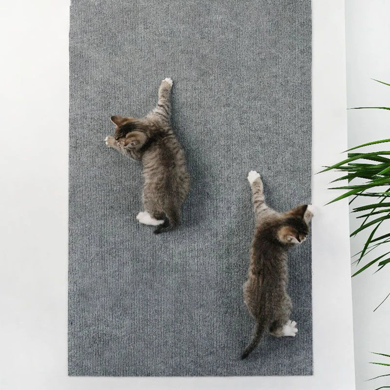 Alfombrilla antirascado autoadhesiva