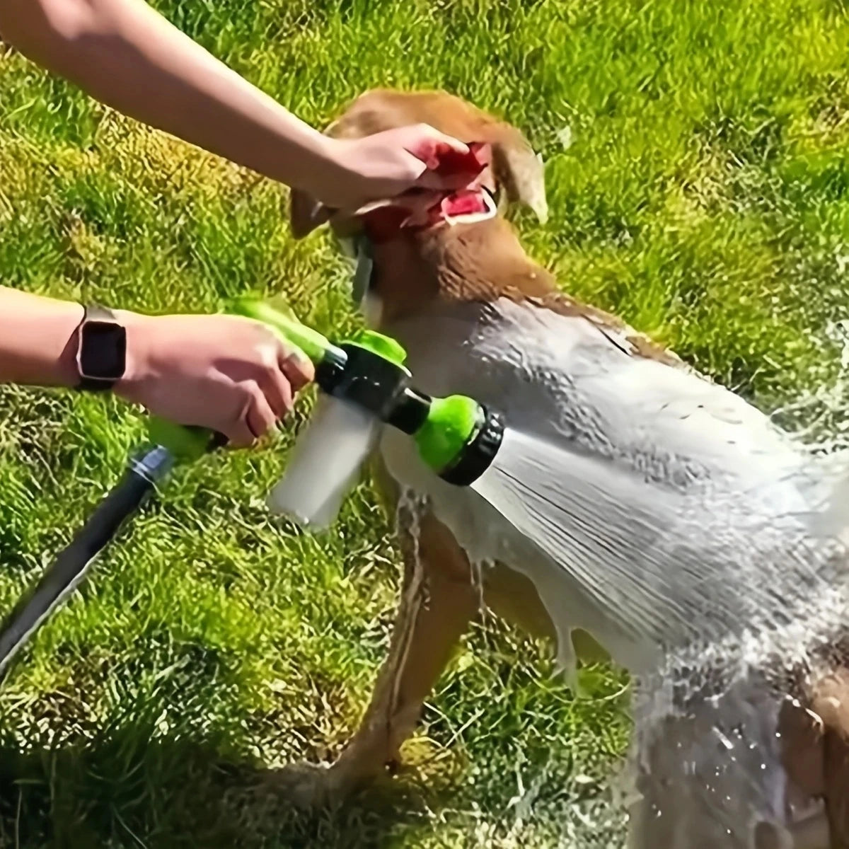 Rociador de alta presión profesional para el baño de mascotas