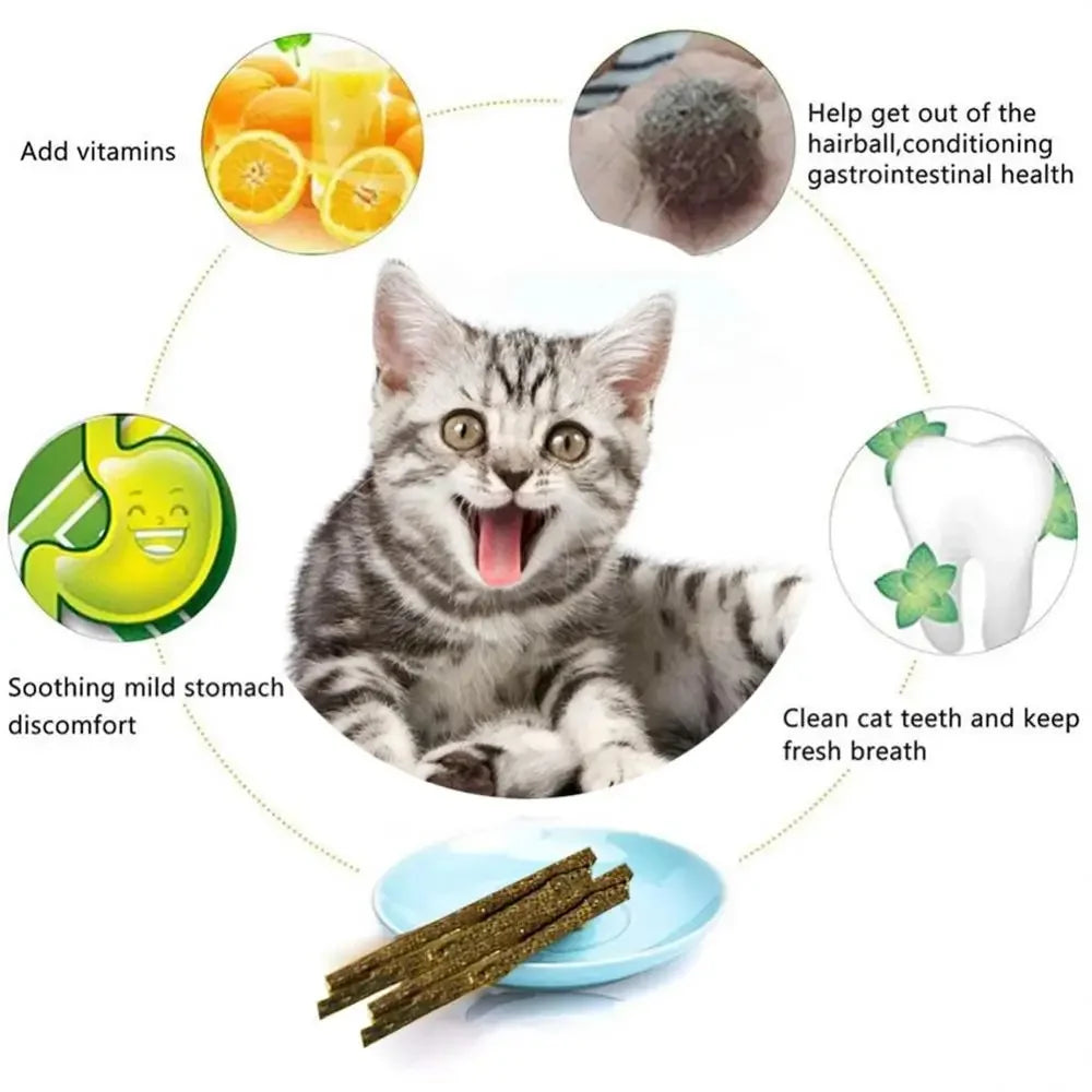 Palitos Masticables Naturales de Silvervine para Gatos