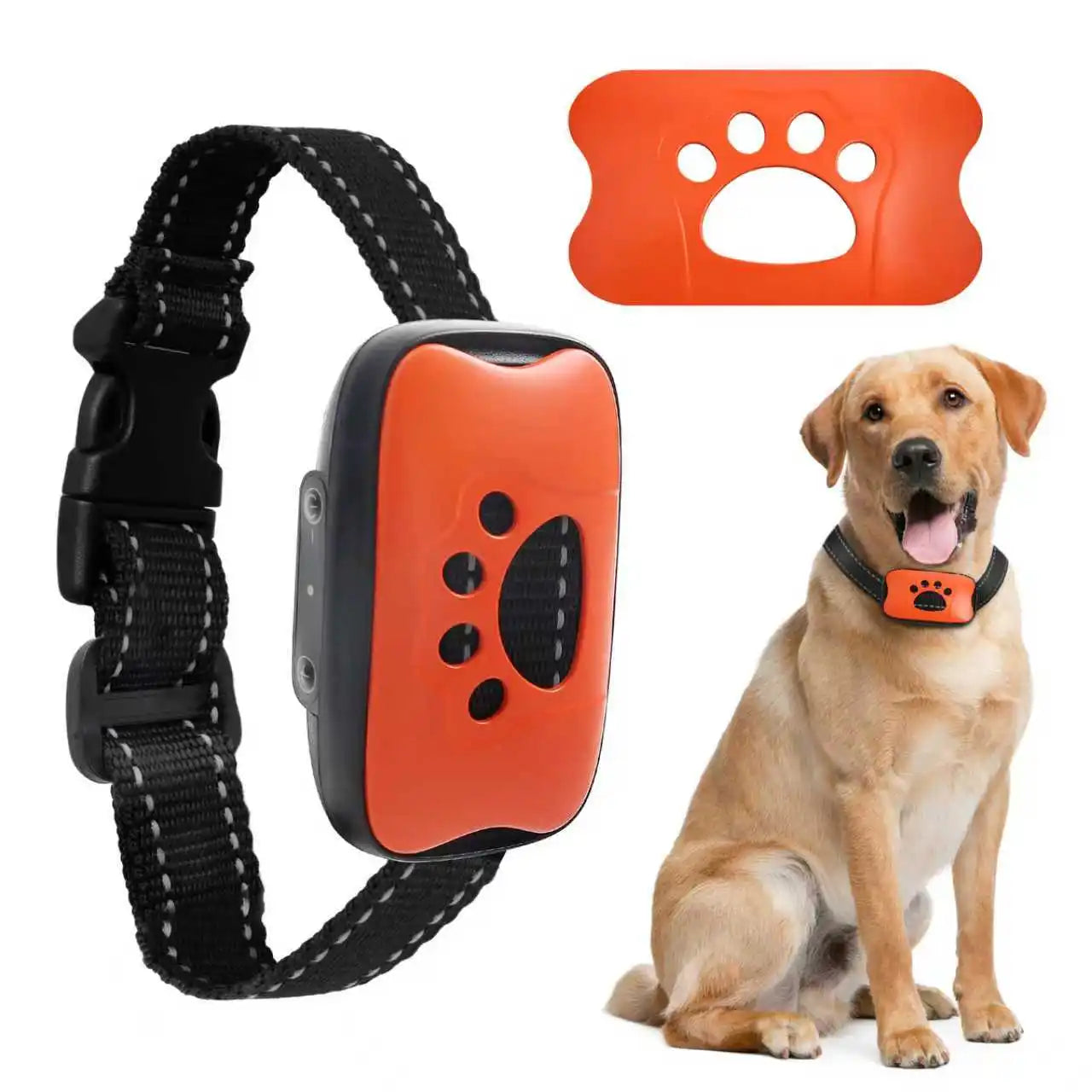 Collar Antiladridos Recargable USB