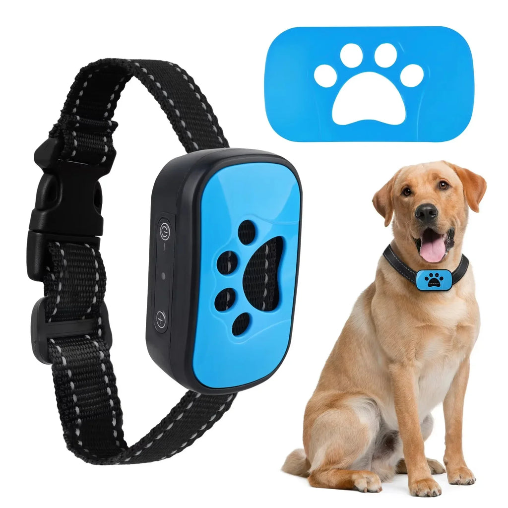 Collar Antiladridos Recargable USB
