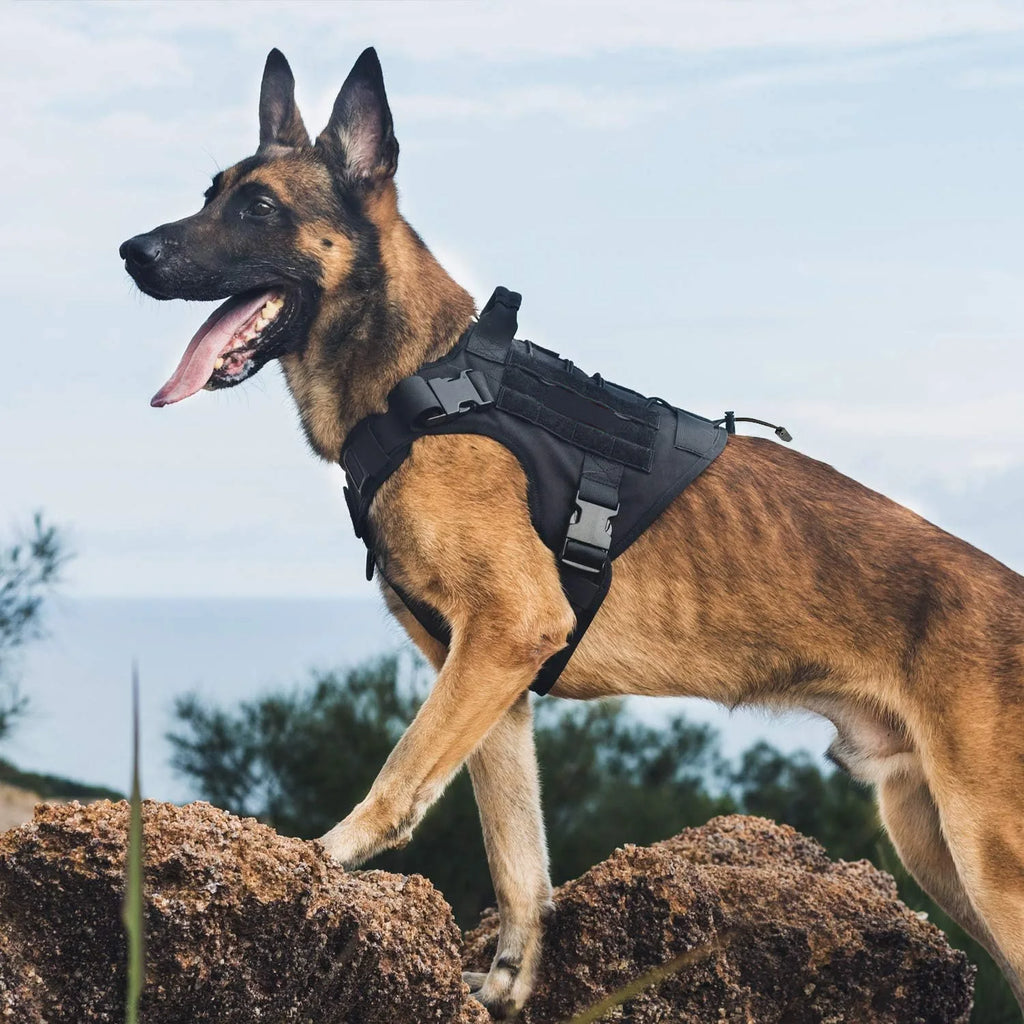 Arnés Táctico para Perros con Asa – Chaleco Antitirones Ajustable