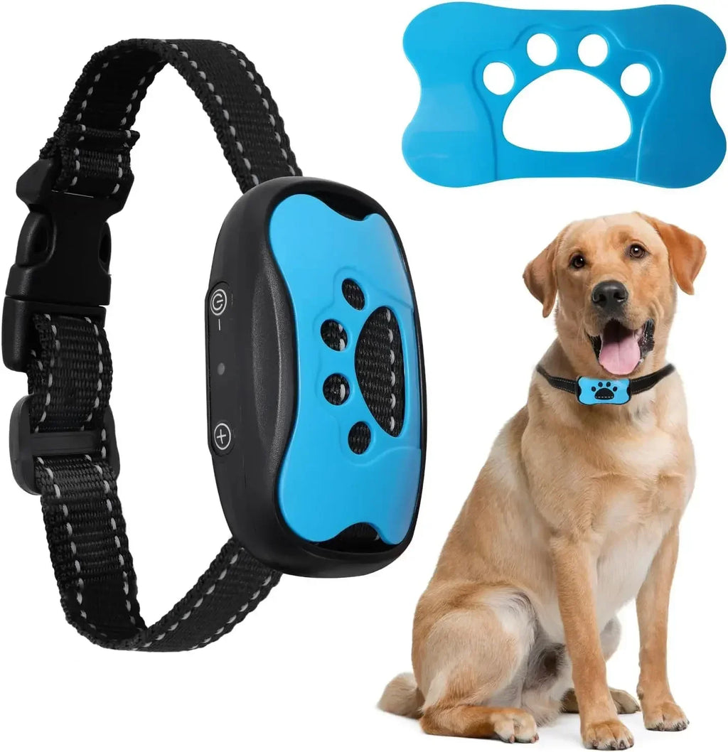 Collar Antiladridos Recargable USB