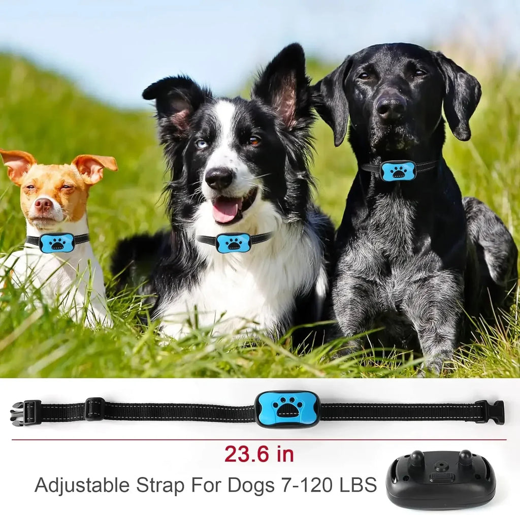 Collar Antiladridos Recargable USB