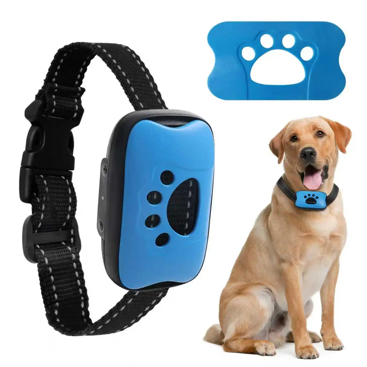 Collar Antiladridos Recargable USB